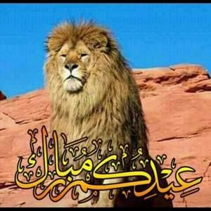 Meet your Posher, Aburas